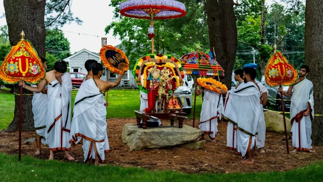 Deities under a tree during procession